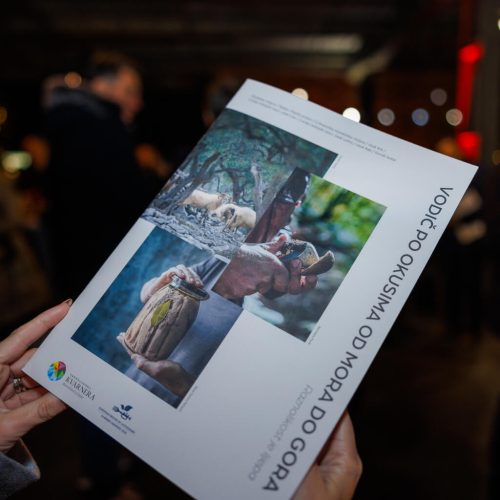 Bonum Et Clarum - Vodič po okusima od mora do gora