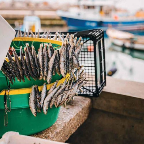 Food and heritage for the future - diversity is beautiful